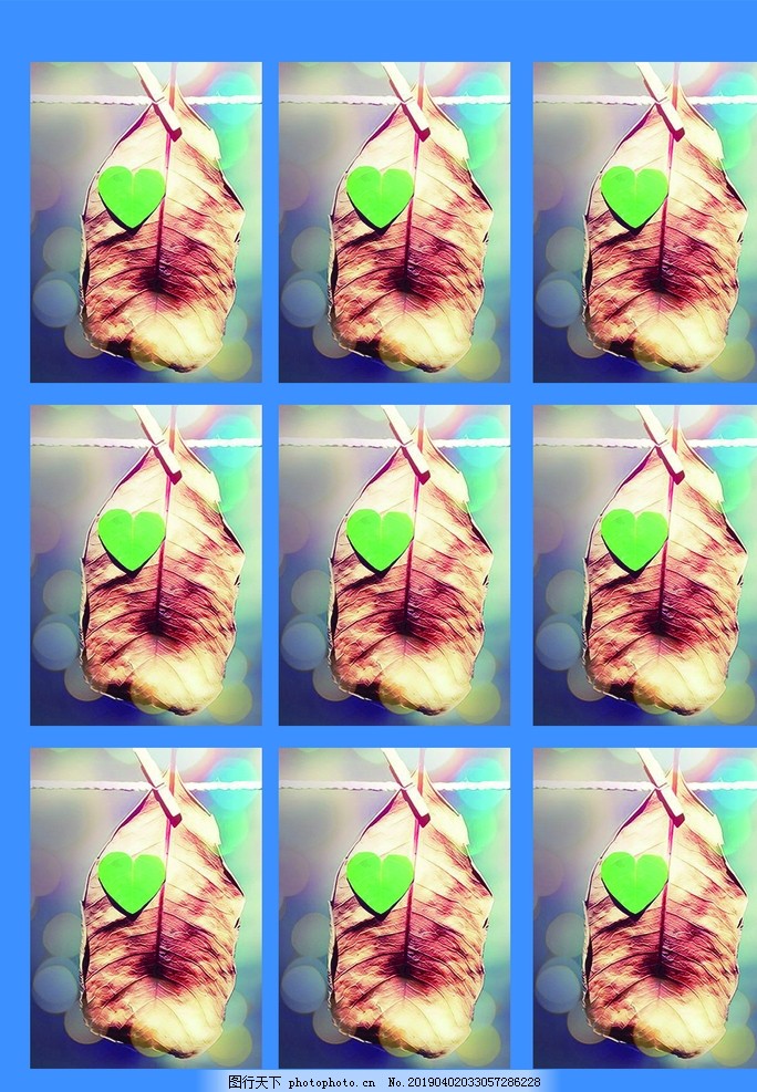 1寸照片打印图片