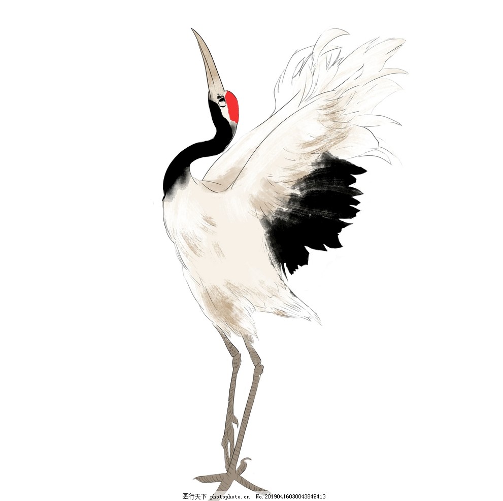 花鳥仙鶴圖 仙鹤图片_其他_海报-图行天下素材网