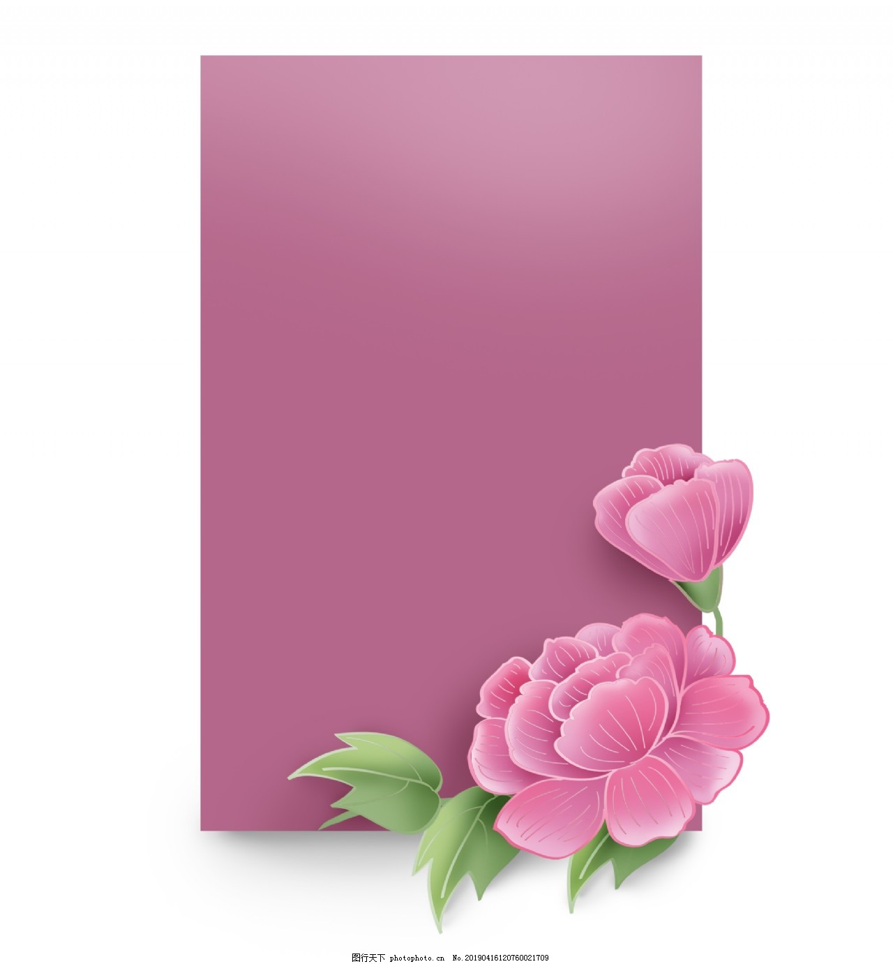粉色牡丹花文字框图片 纹理边框 设计元素 图行天下素材网