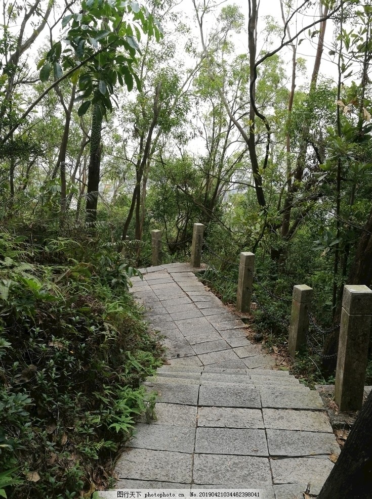 下山小路图片_高山平原_自然风景图行天下素材网