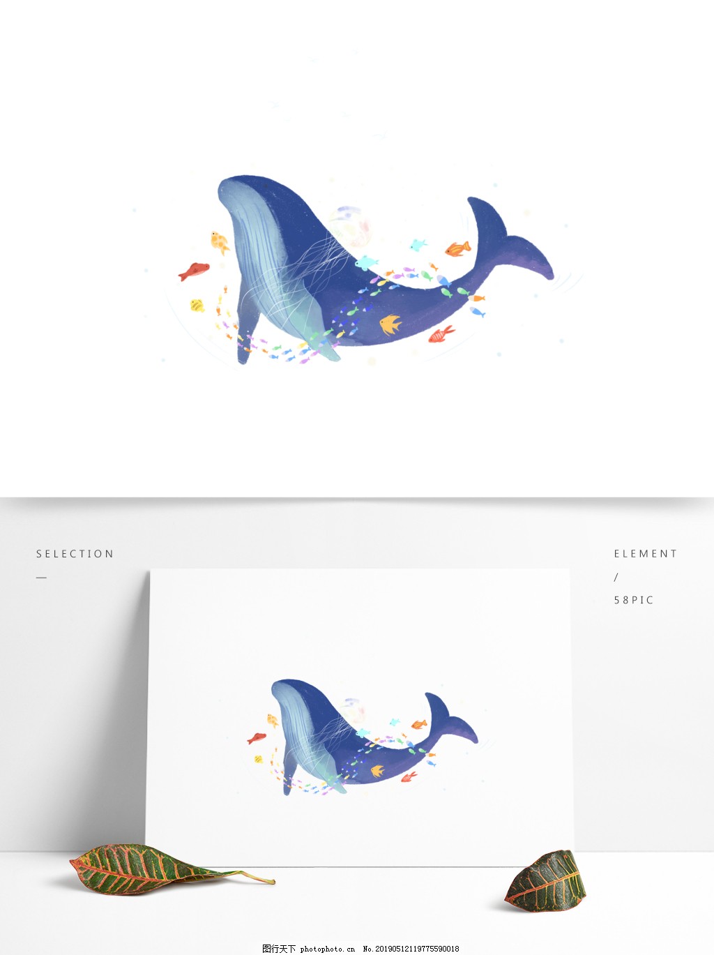 手绘鲸鱼和小鱼插画元素图片_装饰图案_设计元素-图行天下素材网