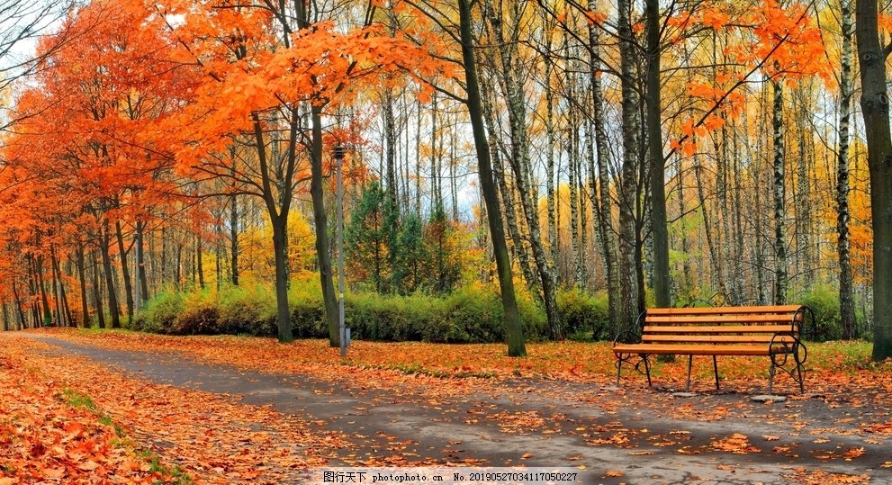 秋天壁纸自然风景壁纸枫叶壁纸图片 自然风景 自然景观 图行天下素材网