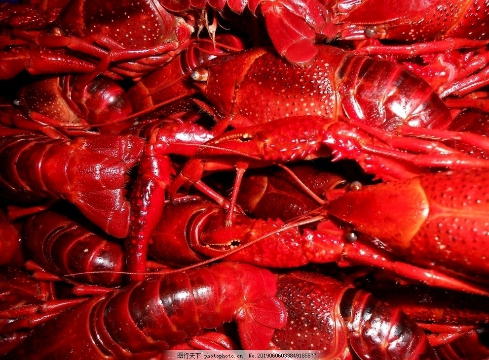 龙虾,海鲜,虾,虾仁,螃蟹,大闸蟹,油炸,生蚝,扇贝,海参,鲍鱼,章鱼,美食,餐饮,海鲜大杂烩,寿司,饮食,食物,美味,烤鱼,鱼,鱼肉,烧烤,鲤鱼,海鱼,皮皮虾,鱼片,素材,背景,美食背景,餐饮背景,餐饮文化,艺术,摄影,其他,图片素材,300DPI,JPG